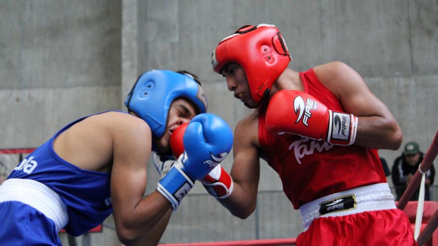 Participan pugilistas tamaulipecos en Festival Olímpico de boxeo