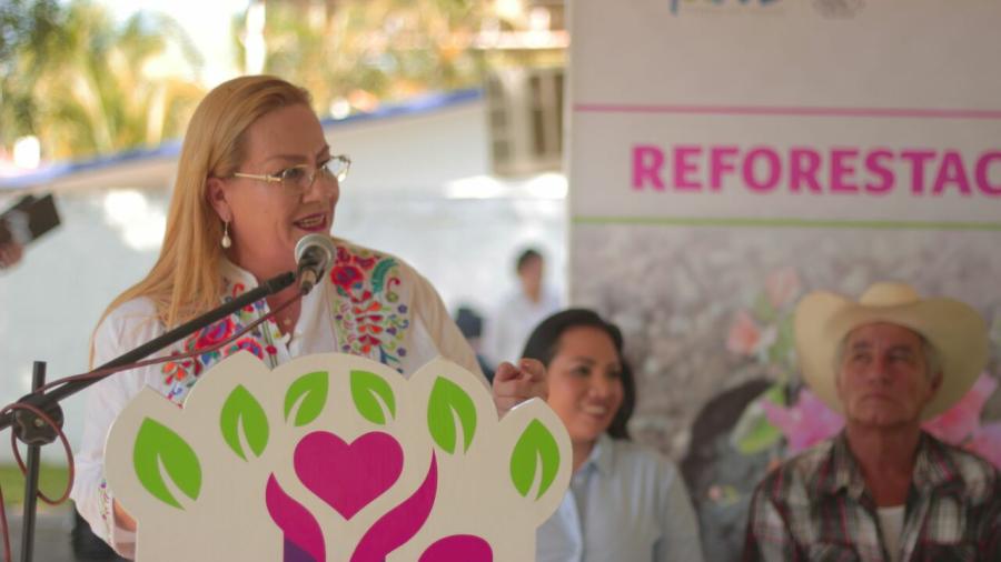 Realizan  trabajos de reforestación