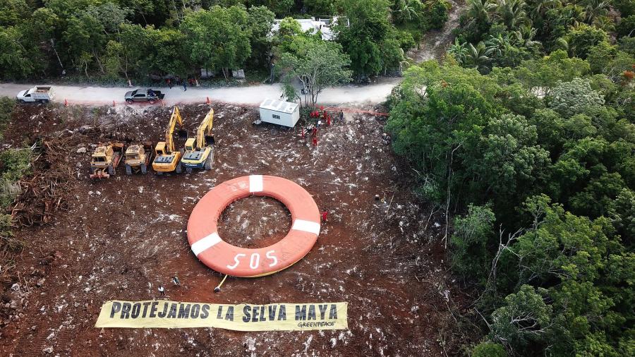 Greenpeace protesta por reanudación de construcción del tramo 5 del Tren Maya 