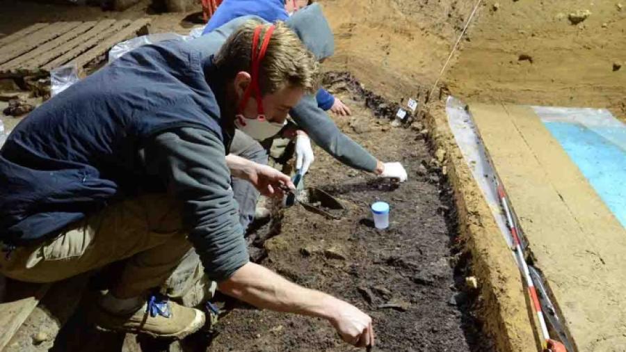 Presencia de Homo sapiens en Europa data de hace 45 mil años: investigadores