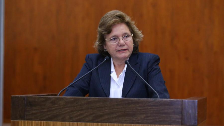 Congreso pide crear Comisiones de Protección de Animales