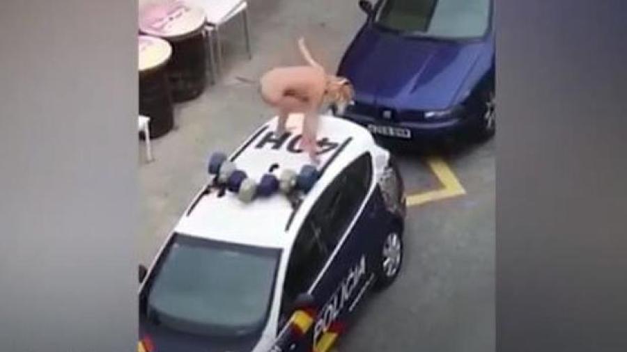Mujer se desnuda y agrede a policías