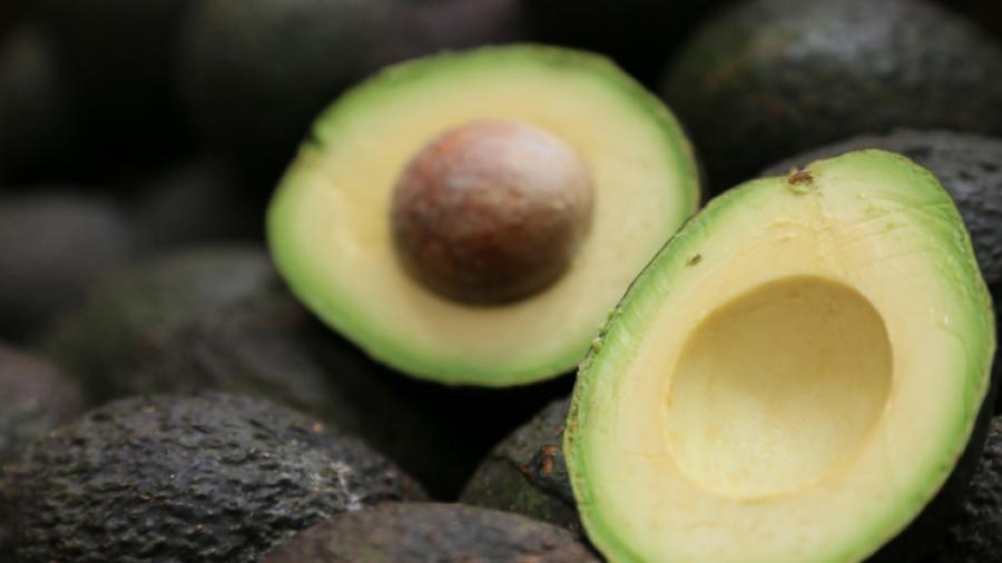 Tampiqueños bautizan al aguacate como “Oro Verde”