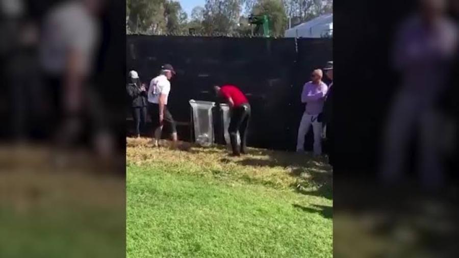 Tras espectacular tiro, Tiger Woods encuentra su pelota en bote de basura